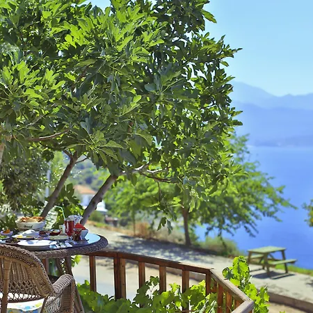 Ξενοδοχείο Hamarat