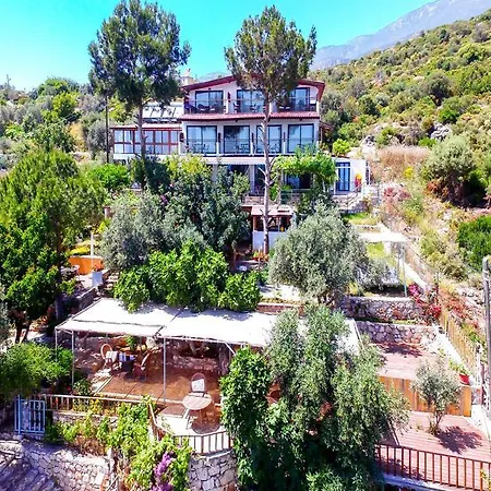 Hamarat Ξενοδοχείο 3*