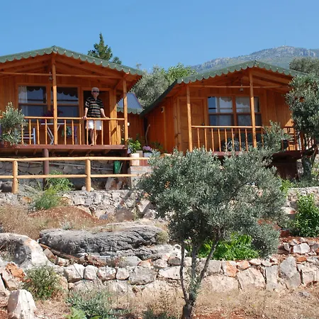 Hamarat Kaş