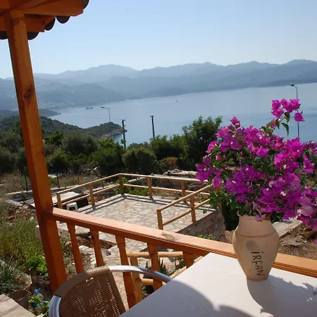 Hamarat Kaş