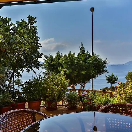 Hamarat Hotel 3*