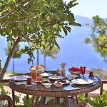 Hamarat Kaş