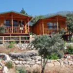 Hamarat Kaş