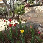 Hamarat Kaş